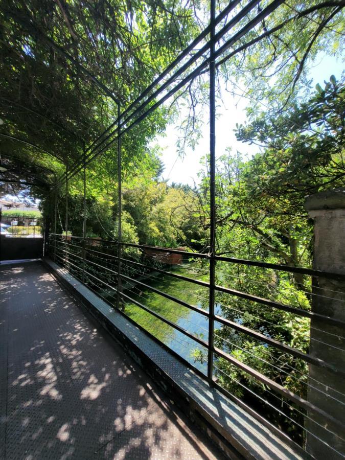 Hotel Un coin tropical en Provence ! LʼIsle-sur-la-Sorgue Exterior foto